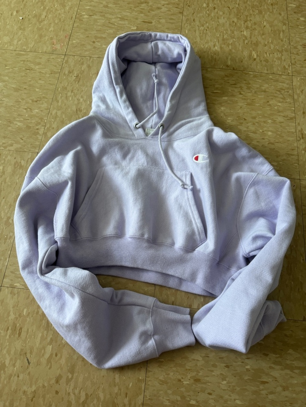 Champion Cropped Hoodie in Lavender